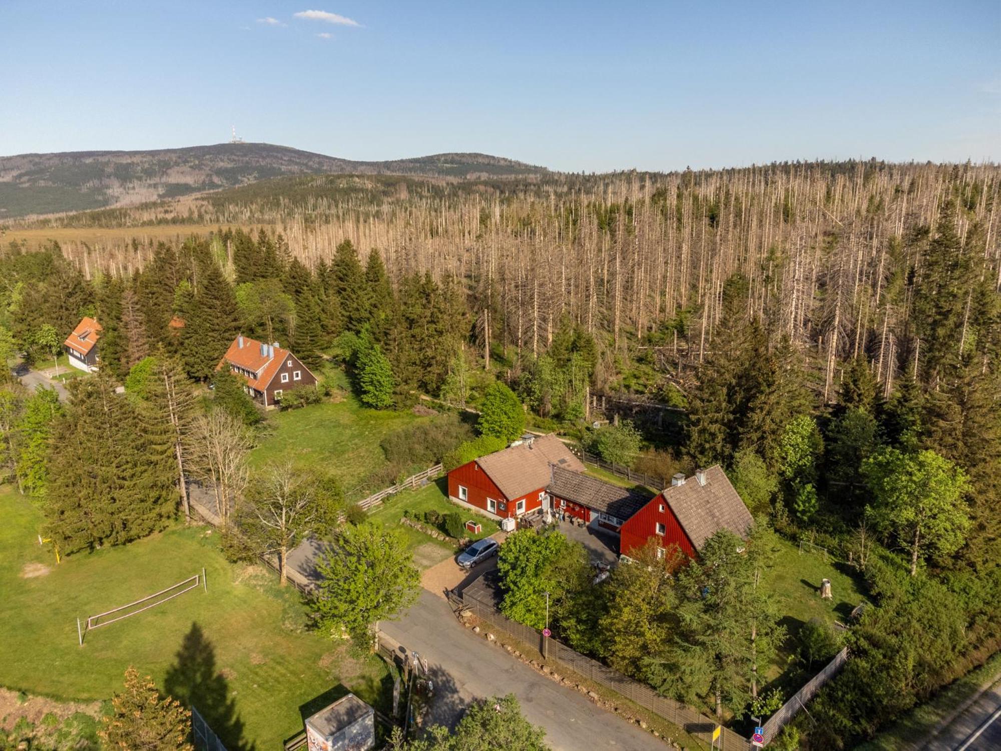 Gruppen & Familien-Ferienhaus Haensel Torfhaus Eksteriør bilde